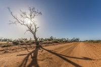 Book Mungo Accommodation Vacations Tourism TAS Tourism TAS
