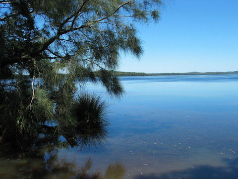 Myall River Magic - Hobart Tourism 1