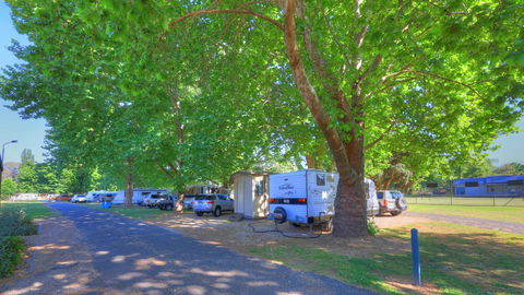 Myrtleford Holiday Park - Hobart Tourism 1