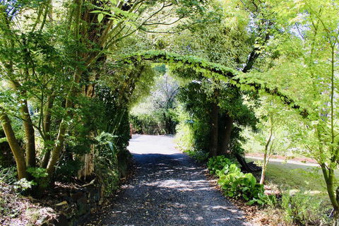 Nagoondie Studio - Tourism TAS 1