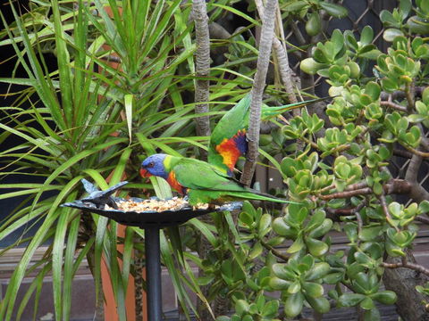 Nanango Fitzroy Motel - Tourism TAS 2