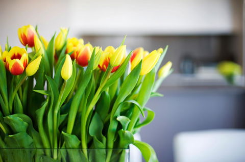 Claremont Quarter Luxury Apartment - Hobart Tourism 11