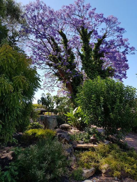 Jacaranda Hideaway Bed & Breakfast - Tourism TAS 10