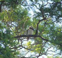 Jacaranda Hideaway Bed  Breakfast - Tourism TAS