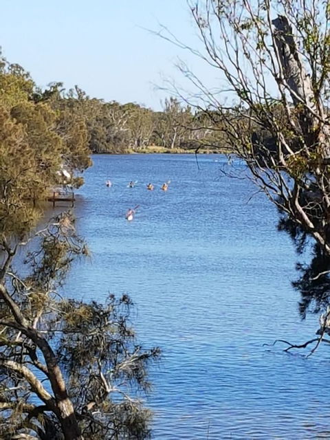 Jacaranda Hideaway Bed & Breakfast - Tourism TAS 19