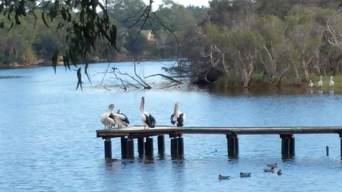 Jacaranda Hideaway Bed & Breakfast - Tourism TAS 18