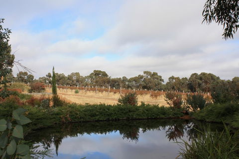 Hotham Ridge Estate - Hobart Tourism 27