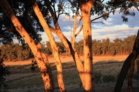 Hotham Ridge Estate - Hobart Tourism 30