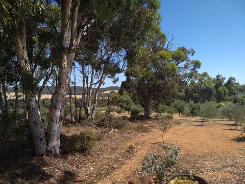 Hotham Ridge Estate - Hobart Tourism 13