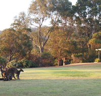 Riverside Retreat Chalets Walpole - Hobart Tourism