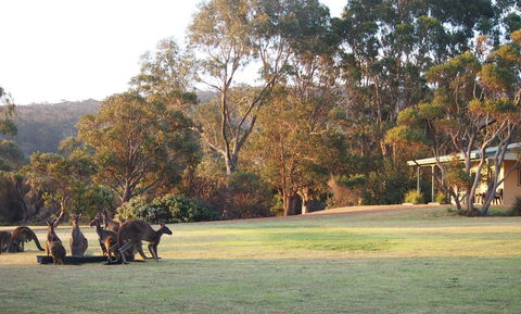 Riverside Retreat Chalets, Walpole - Hobart Tourism 0