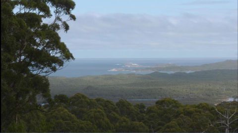 Riverside Retreat Chalets, Walpole - Hobart Tourism 30