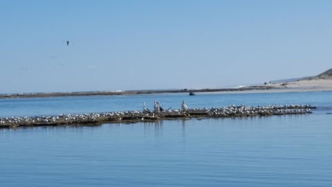 Kalbarri Seaview Villas - Tourism TAS 33