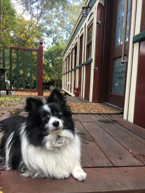 Quiet Escapes Cottages - Tourism TAS 15