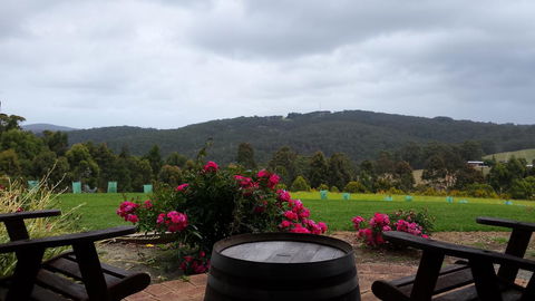 Karri Aura - Hobart Tourism 3