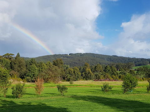 Karri Aura - Hobart Tourism 5