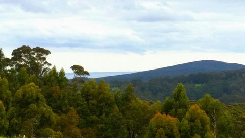 Karri Aura - Hobart Tourism 10