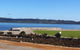 SureStay Hotel By Best Western The Clarence On Melville - thumb 42