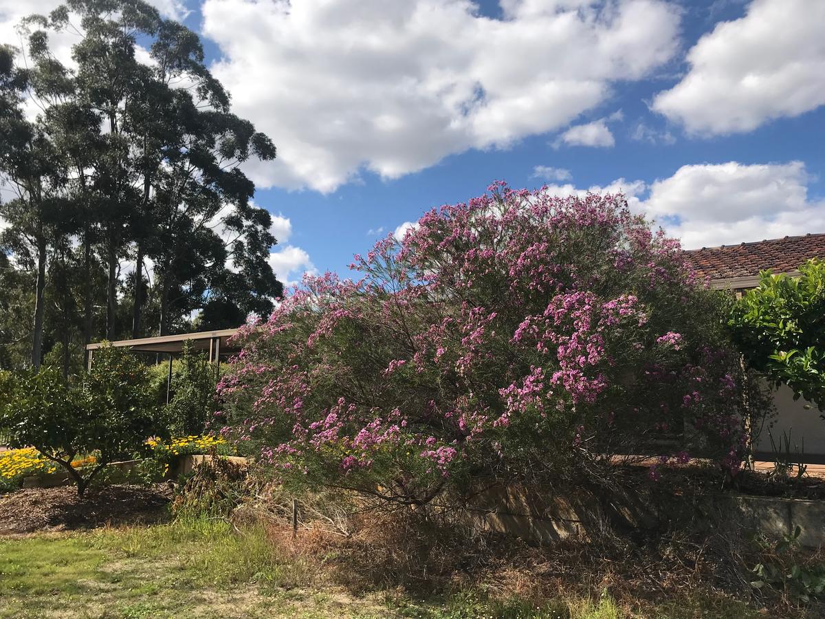 Aubin Grove WA Tourism TAS