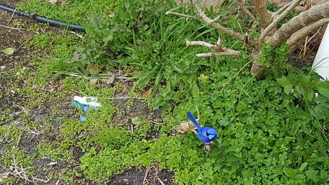 Abbivale Farm Cottage - Hobart Tourism 17