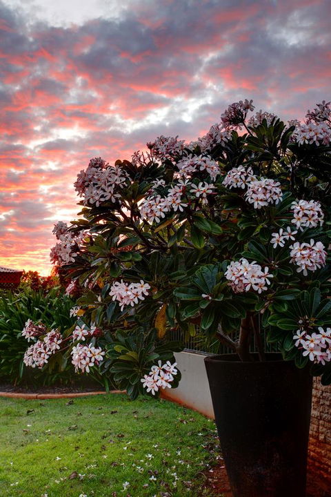 Mantra Frangipani Broome - Hobart Tourism 35