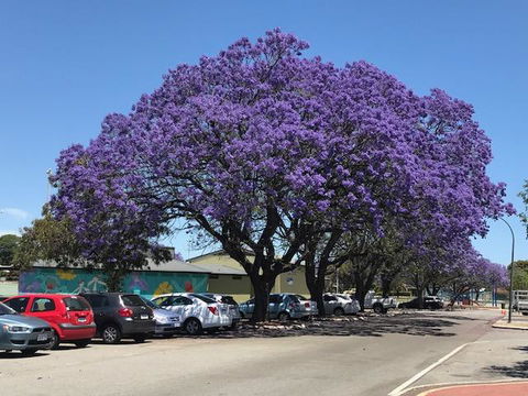 Gerring Court With Free 1 Car Bay Parking - Hobart Tourism 20