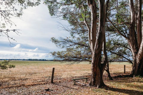 Margaret River Holiday Cottages - Hobart Tourism 22