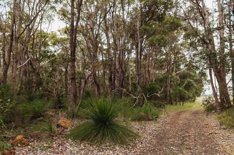 Margaret River Holiday Cottages - Hobart Tourism 31