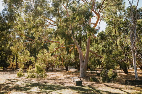 Margaret River Holiday Cottages - Hobart Tourism 16