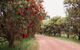 Margaret River Holiday Cottages - thumb 17