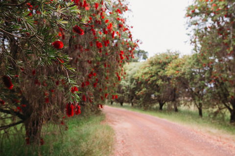 Margaret River Holiday Cottages - Hobart Tourism 17