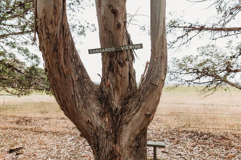 Margaret River Holiday Cottages - Hobart Tourism 20