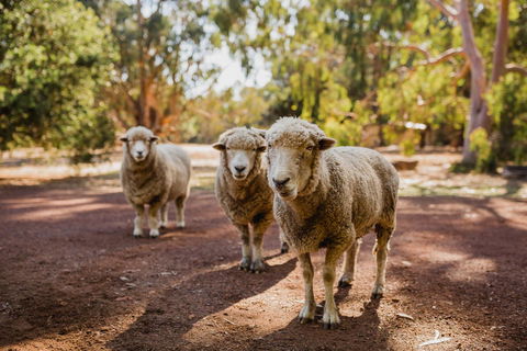 Margaret River Holiday Cottages - Hobart Tourism 15