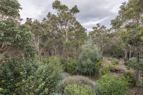 A Hidden Bush Delight - Tourism TAS 7