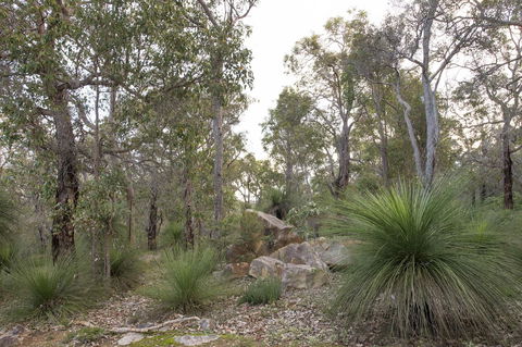 A Hidden Bush Delight - Tourism TAS 23
