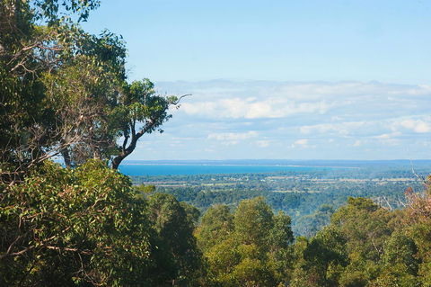 A Hidden Bush Delight - Tourism TAS 31
