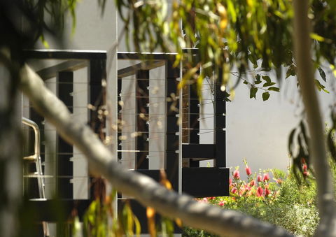 Margarets Forest - Hobart Tourism 42