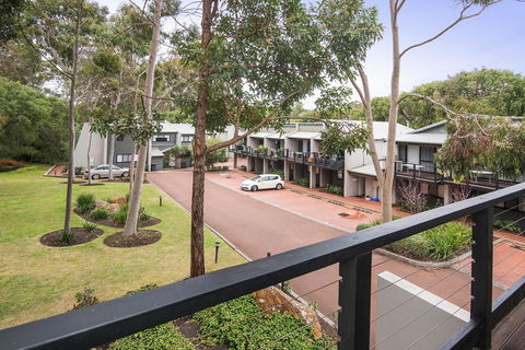 Margarets Forest - Hobart Tourism 35