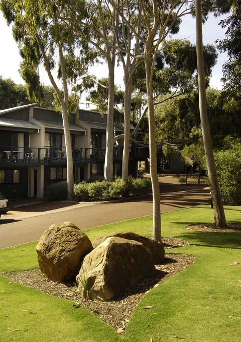 Margarets Forest - Hobart Tourism 34