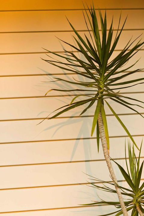 The Billi Resort - Hobart Tourism 44