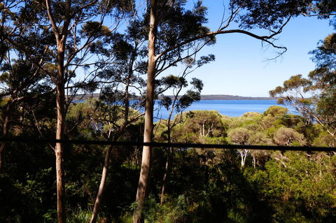 Pelicans At Denmark - Hobart Tourism 3