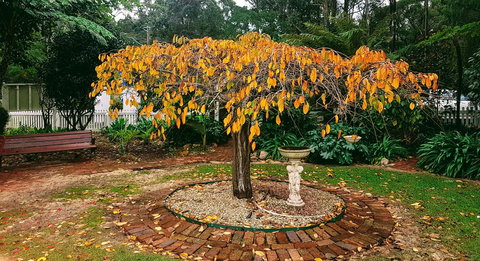 Adamsons Riverside Accommodation - Tourism TAS 22