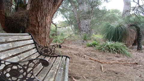 Yelverton Brook Conservation Sanctuary - Tourism TAS 42