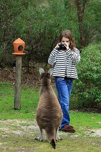 Yelverton Brook Conservation Sanctuary - Tourism TAS 39