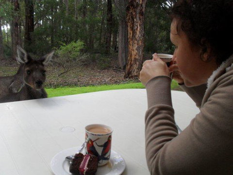 Yelverton Brook Conservation Sanctuary - Tourism TAS 44