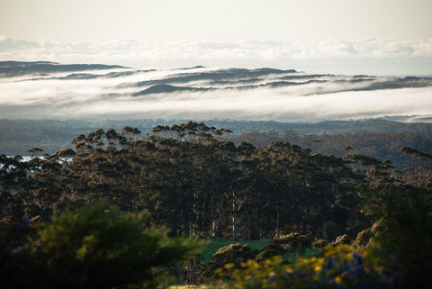 Celestine Retreat - Hobart Tourism 13