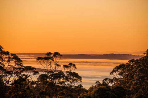 Celestine Retreat - Hobart Tourism 5