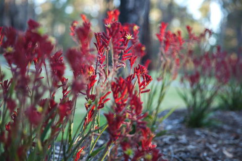 Amaroo Retreat & Spa - Tourism TAS 16