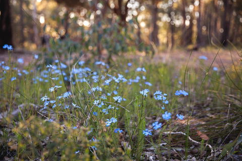 Amaroo Retreat & Spa - Tourism TAS 15