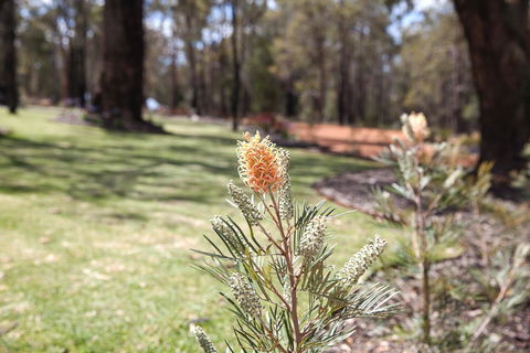 Amaroo Retreat & Spa - Tourism TAS 19